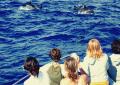 Delfincamp Jugendreise Portugal 
