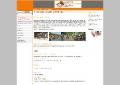 www.rsv-sulzfeld.de