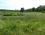 Steinhauser Ried Steinhauser Ried
